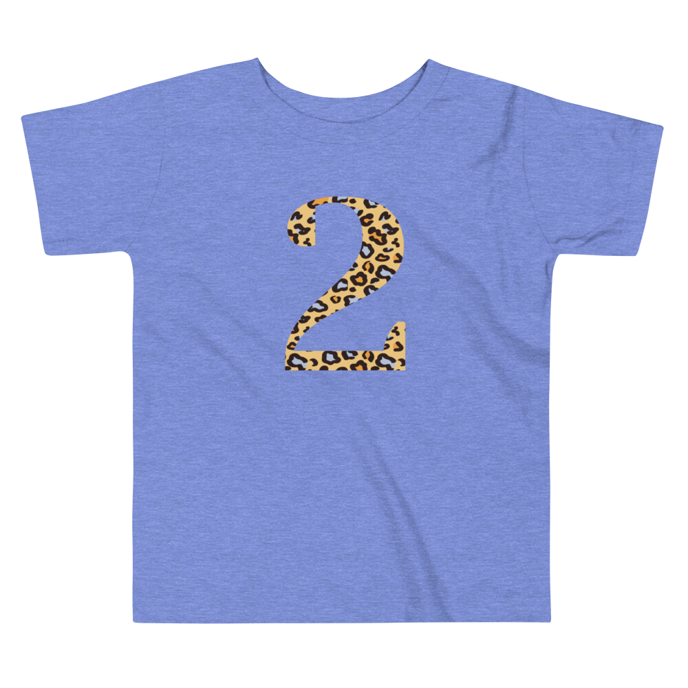 Toddler Short Sleeve Tee - 2nd Birthday