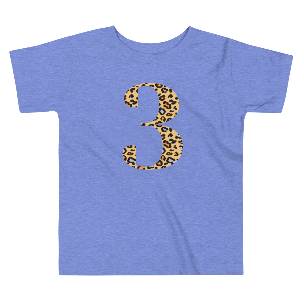 Toddler Short Sleeve Tee - 3rd Birthday