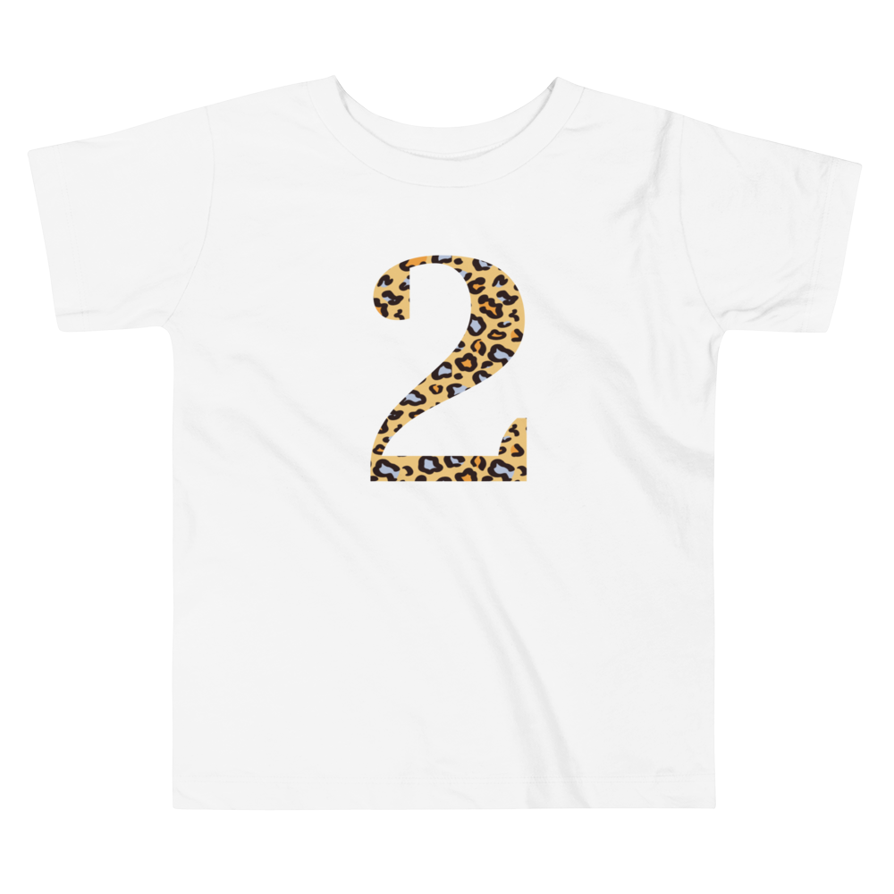 Toddler Short Sleeve Tee - 2nd Birthday